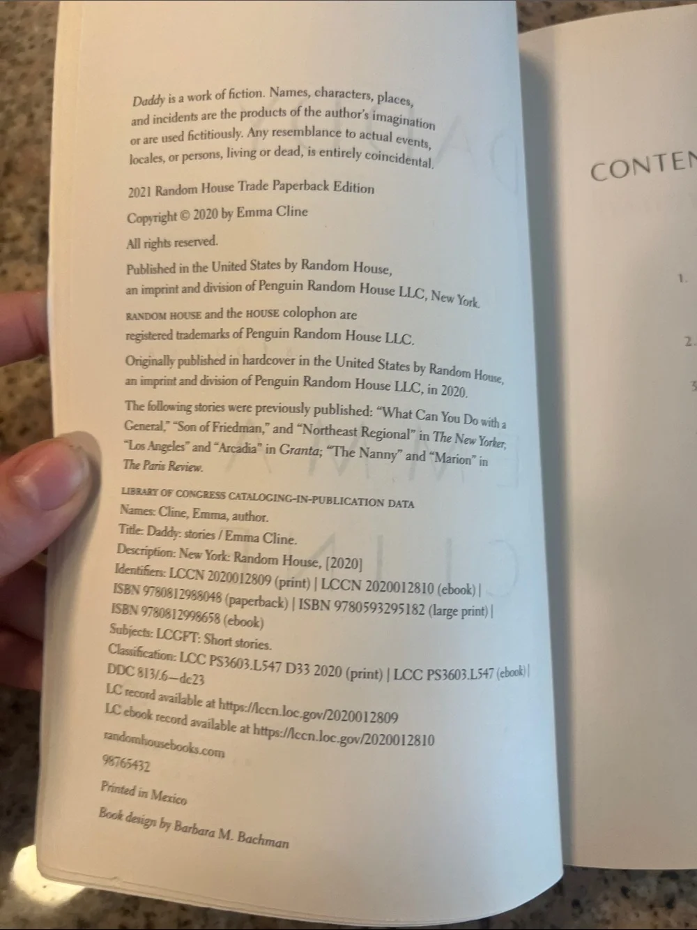 Daddy: Stories — Bright Yellow Paperback Back Cover